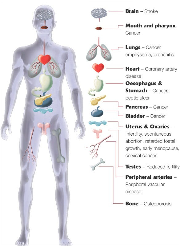 9 Free Body Diagram Free Printable Download Free Premium Templates