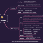 Cat Language XMind Mind Mapping Software