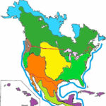 Color The Biomes Of North America North America Map Biomes America Map