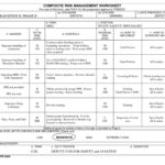 Deliberate Risk Assessment Worksheet Examples