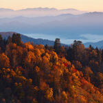 Fall Foliage 2020 Use Map To Find Peak Autumn Leaves Across The US