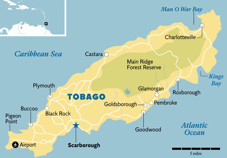 Tobago The Caribbean With A Touch Of The Isle Of Wight London 