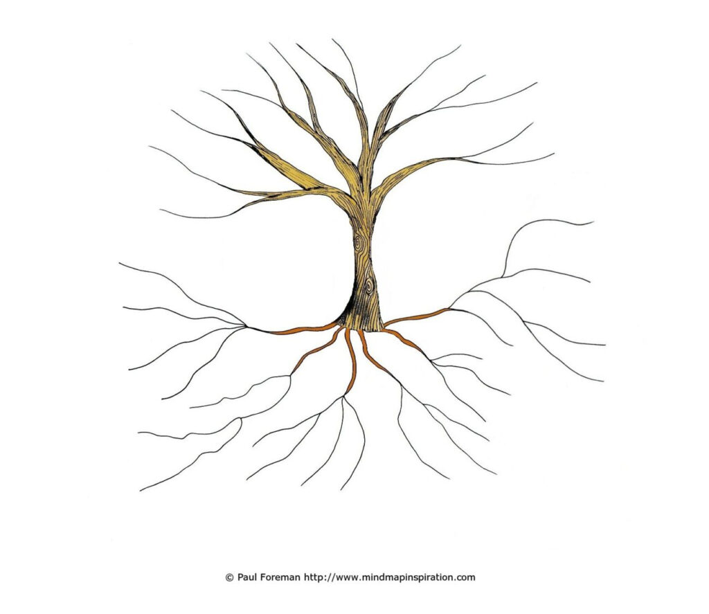 13 Tree Graphic Organizer Template Images Idea Tree Graphic Organizer 