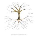 13 Tree Graphic Organizer Template Images Idea Tree Graphic Organizer