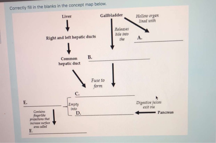 Solved Correctly Fill In The Blanks In The Concept Map Chegg
